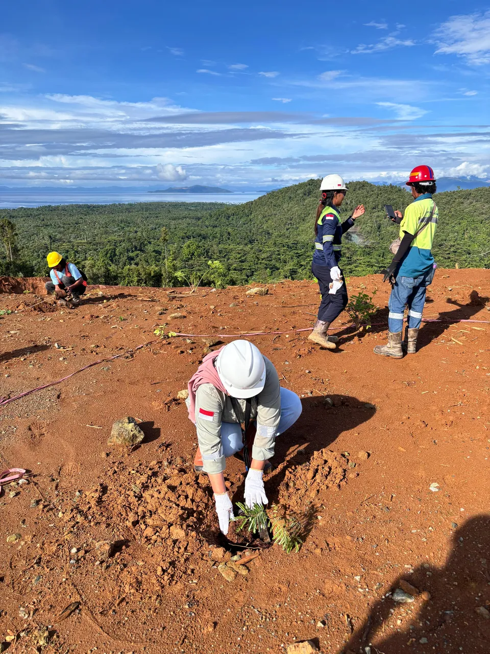 World Environment Day 2026 Commemoration Through Tree Planting and Land Rehabilitation Activities